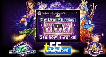 A Experiência Imersiva dos Cassinos Ao Vivo no t55